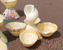 accessoire 05 : Sel et poivre