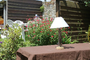 lampe 29 : Bouchot du Mont