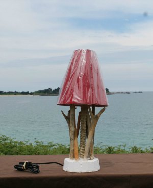 Lampe 08 : Dinard
